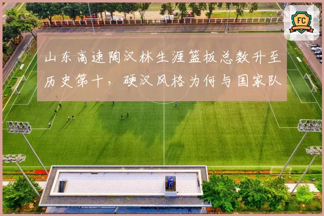 山东高速陶汉林生涯篮板总数升至历史第十，硬汉风格为何与国家队绝缘？