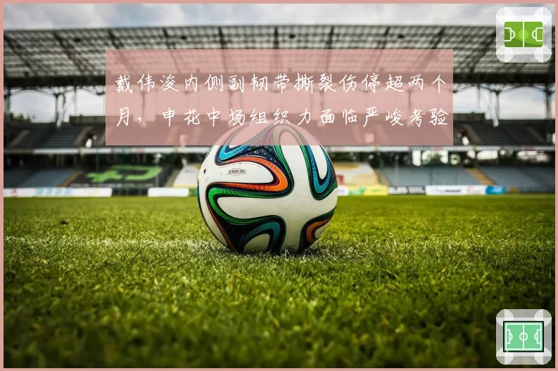 戴伟浚内侧副韧带撕裂伤停超两个月，申花中场组织力面临严峻考验？