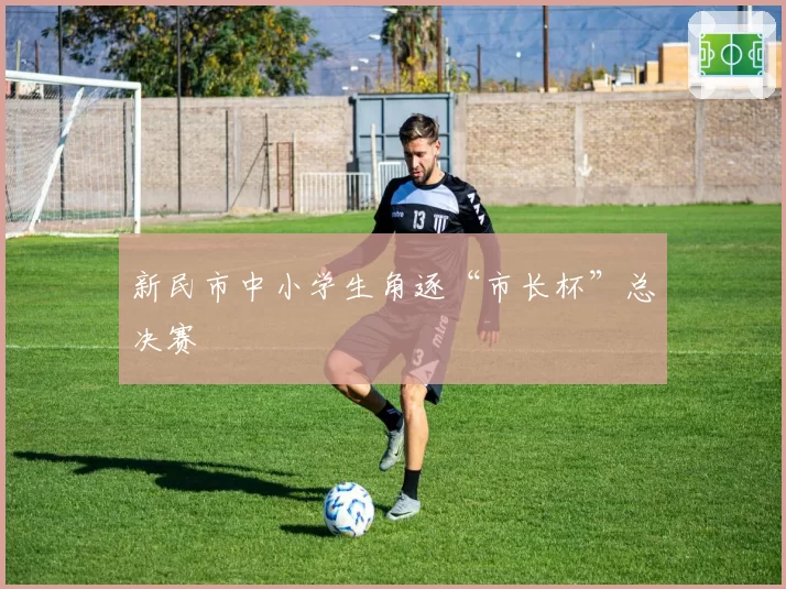 新民市中小学生角逐“市长杯”总决赛
